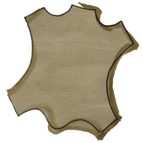 leather drawing